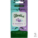 Karta do aromatyzowania papierosów 25szt BLUEBERRY
