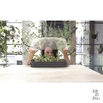 Szklarnia Respana Table Greenhouse antracytowa Szklarnia Respana Table Greenhouse antracytowa