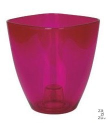 Osłonka do storczyka 10 cm transparentna amarant