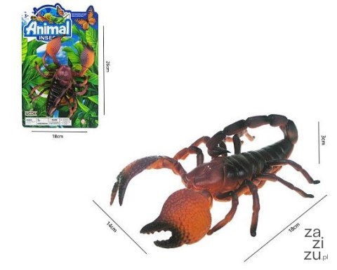 Skorpion twardy 20cm | HHD10 Skorpion twardy 20cm | HHD10