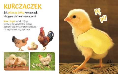 Książeczka Pogłaszcz zwierzątko 15,8x12,8 cm Książeczka Pogłaszcz zwierzątko 15,8x12,8 cm