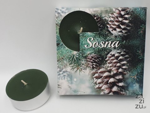 Podgrzewacz zapachowy 4szt. maxi Sosna | TL01SOS Podgrzewacz zapachowy 4szt. maxi Sosna | TL01SOS