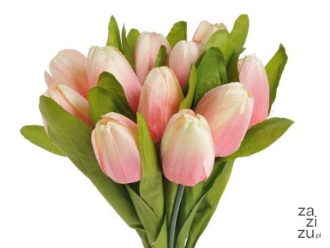 Bukiet tulipanów 35cm | 22CAN16009_02 Bukiet tulipanów 35cm | 22CAN16009_02