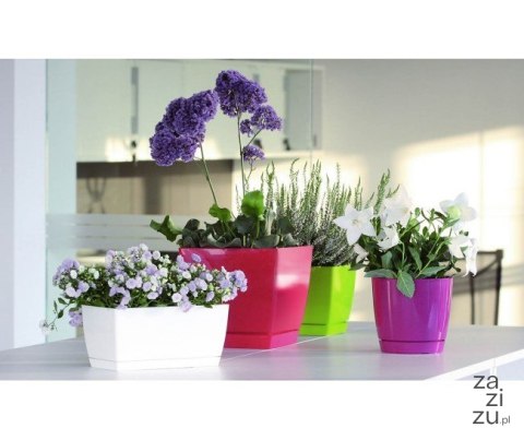 Doniczka ziołówka COUBI 24x12xh11cm grafit Doniczka ziołówka COUBI 24x12xh11cm grafit