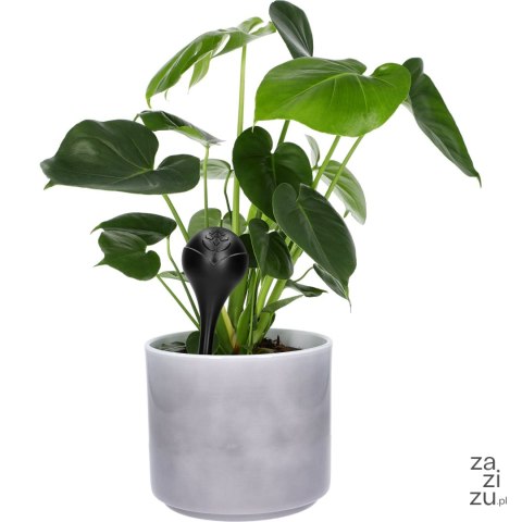 Kula nawadniająca do roślin czarna 400ml | 720921 Kula nawadniająca do roślin czarna 400ml | 720921