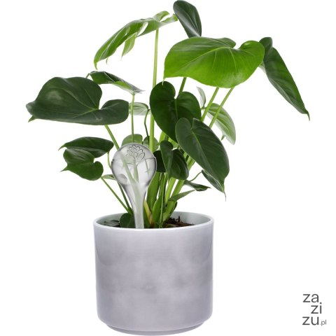 Kula nawadniająca do roślin przezroczysta 400ml | 720925 Kula nawadniająca do roślin przezroczysta 400ml | 720925