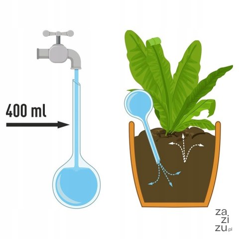 Kule nawadniające do roślin doniczki 400ml | 720917 Kule nawadniające do roślin doniczki 400ml | 720917