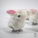 Króliczek nakręcany 9cm 12szt. | BD009354