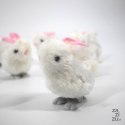 Króliczek nakręcany 9cm 12szt. | BD009354