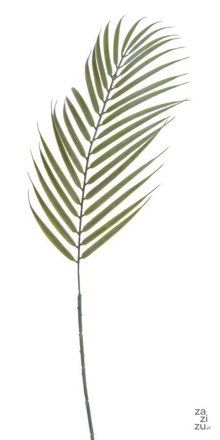 Liść palmy 12szt. 70cm | B-07280 Liść palmy 12szt. 70cm | B-07280