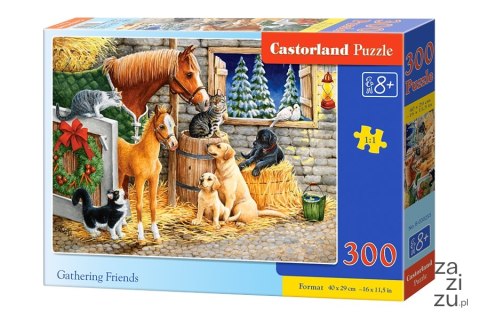 Puzzle 300 el. Gathering Friends Castorland B-030255 Puzzle 300 el. Gathering Friends Castorland B-030255