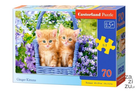 Puzzle 70 el. Ginger Kittens Castorland B-070169 Puzzle 70 el. Ginger Kittens Castorland B-070169
