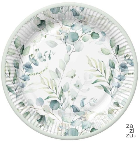 Talerze papierowe 18cm gałązki eukaliptusa 8szt. | 79-36