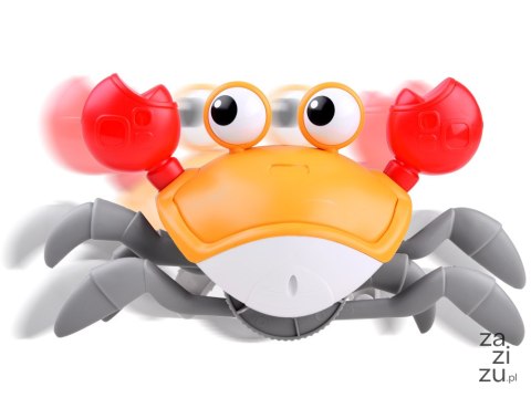Krab uciekający zabawka do raczkowania | ZA4476 Krab uciekający zabawka do raczkowania | ZA4476