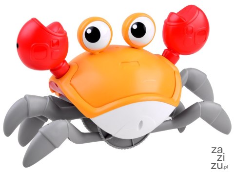Krab uciekający zabawka do raczkowania | ZA4476 Krab uciekający zabawka do raczkowania | ZA4476