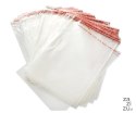 Torebka OPP z klejem 50x70+5cm 100szt. | 02-03-15070011A