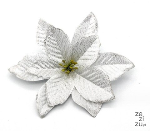 Kwiat sztuczny 10szt. gwiazda betlejemska - POINSECJA 14 cm SREBRNA XVV-102B Kwiat sztuczny 10szt. gwiazda betlejemska - POINSECJA 14 cm SREBRNA XVV-102B