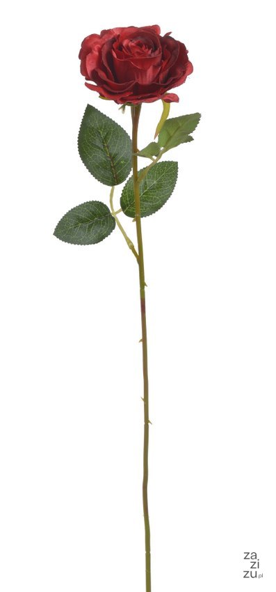 Róża sztuczna roślina czerwona 51cm | 22CAN72033_04 Róża sztuczna roślina czerwona 51cm | 22CAN72033_04