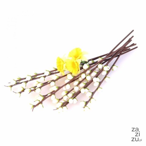 Bazie z listkami 24 cm Bazie z listkami 24 cm