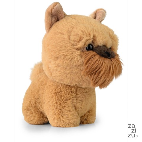 Maskotka pluszak TEDDY PETS GRIFFON BRUXELLOIS Maskotka pluszak TEDDY PETS GRIFFON BRUXELLOIS