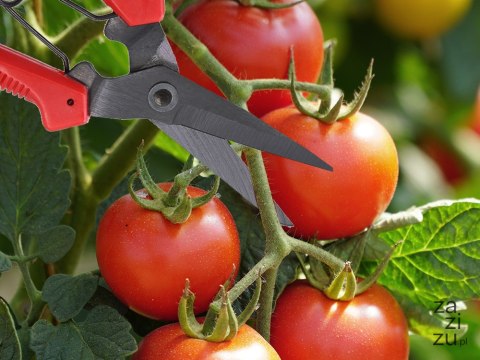 Nożyce ogrodowe ręczne do gałęzi krzewów nożyce do cięcia roślin trawy Nożyce ogrodowe ręczne do gałęzi krzewów nożyce do cięcia roślin trawy