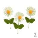 Zestaw wielkanocny ''Stokrotki'' YS5187