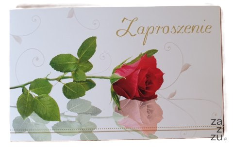 Zaproszenia 10szt. ZA-014 Zaproszenia 10szt. ZA-014