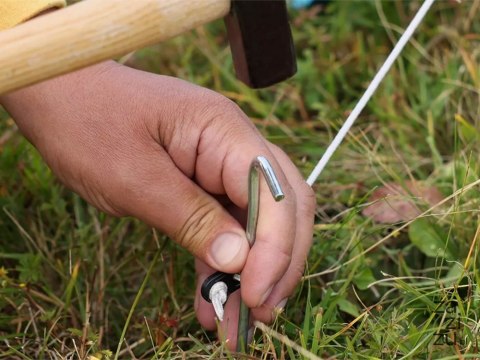 Szpilki do namiotu mocujące śledzie kotwy stal 31cm 10szt. hak haczyk kołki Szpilki do namiotu mocujące śledzie kotwy stal 31cm 10szt. hak haczyk kołki