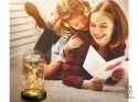 Wieczna róża w szkle prezent led świecąca pudełko szklana na okazję kobiet 26110